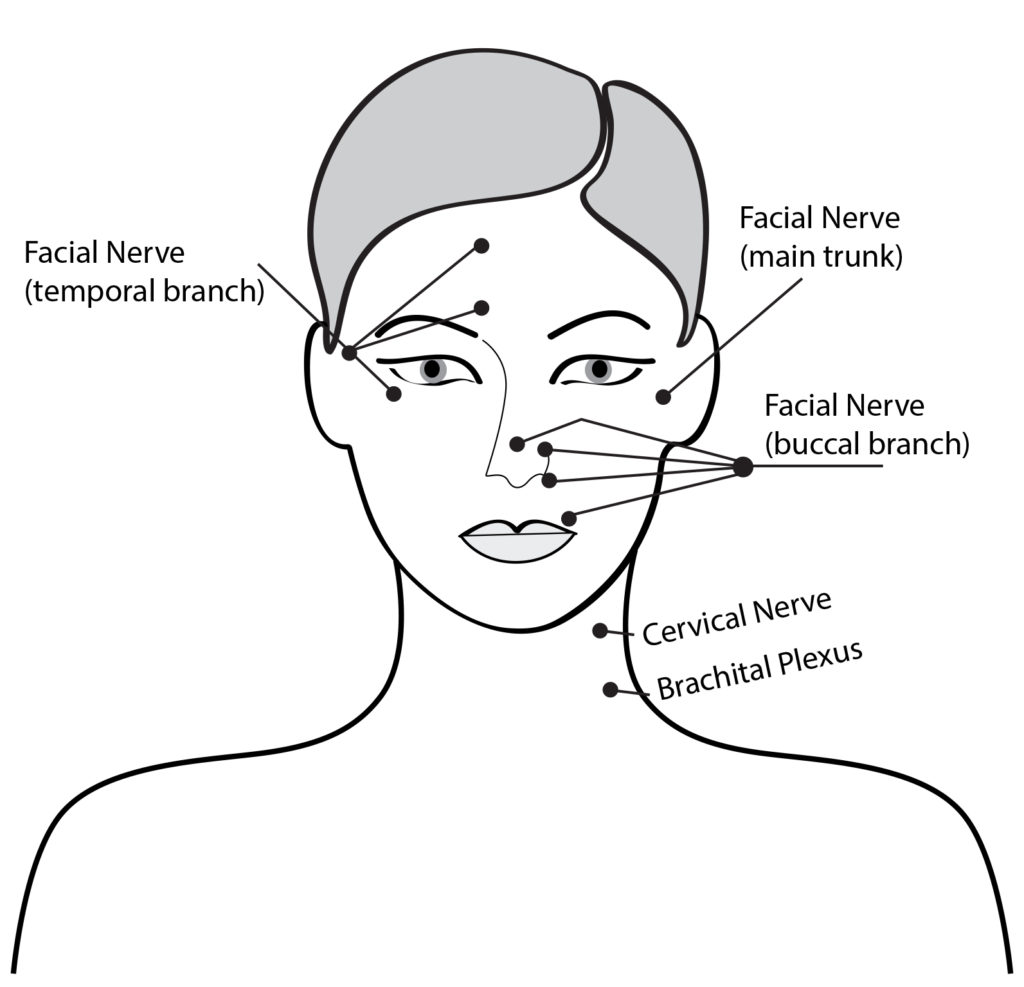 How To Perform Facial Massage Facial Massage Benefits Lydia Sarfati 