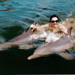 Work – Life Balance – And time to swim with Dolphins!