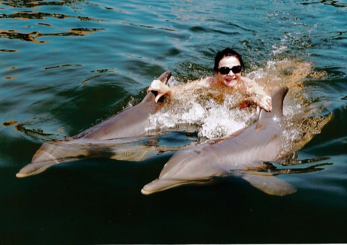 Work – Life Balance – And time to swim with Dolphins!