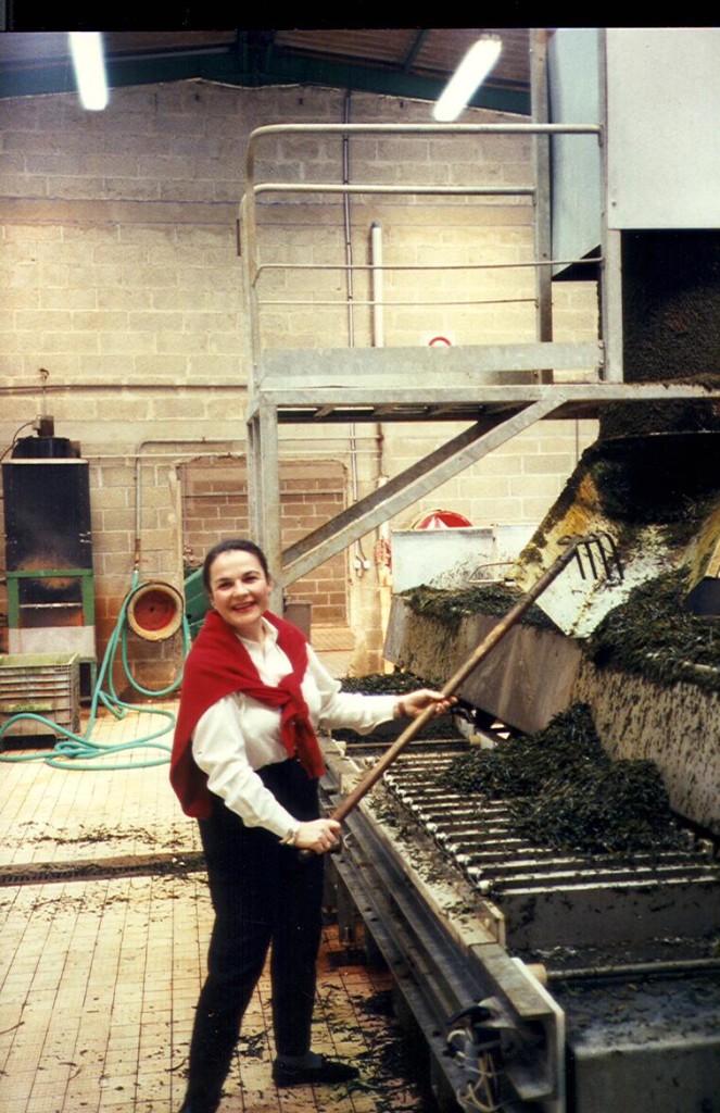 Lydia harvesting seaweed