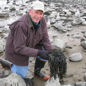 Dr. Charles Yarish, Ph.D., of the Department of Ecology & Evolutionary Biology at the University of Connecticut Joins Repêchage as a Consultant