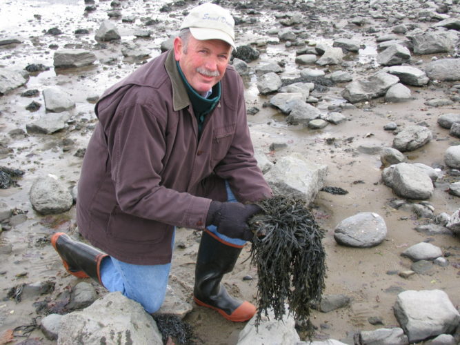 Dr. Charles Yarish, Ph.D., of the Department of Ecology & Evolutionary Biology at the University of Connecticut Joins Repêchage as a Consultant