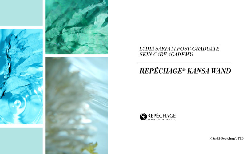 Repechage Kansa Wand Repechage Kansa Wand